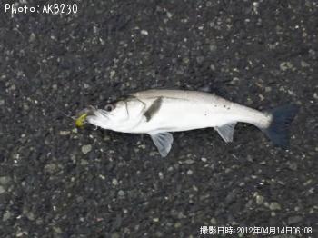 �����Х�