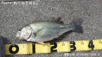 �֥�å��Х�