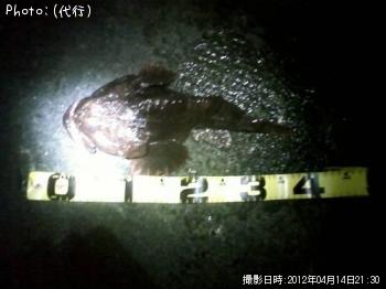 ¥®¥¹¥«¥¸¥«