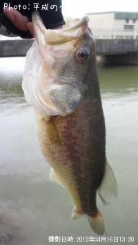 ¥Ö¥é¥Ã¥¯¥Ð¥¹