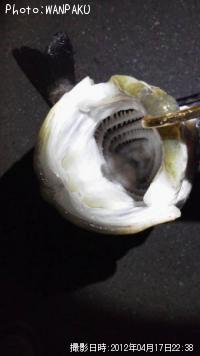 �����Х�