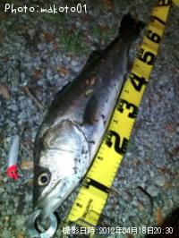 �����Х�