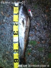 �����Х�