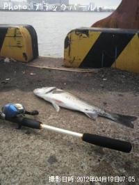 �����Х�