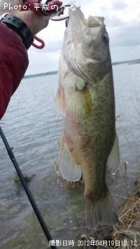 �֥�å��Х�