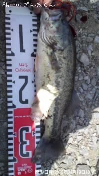 �֥�å��Х�