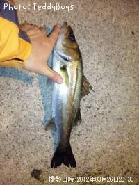 �����Х�