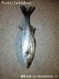 �����Х�