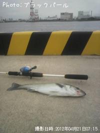 �����Х�