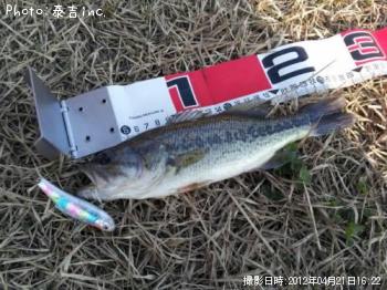 �֥�å��Х�