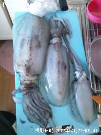 �����ꥤ��