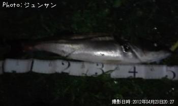 �����Х�