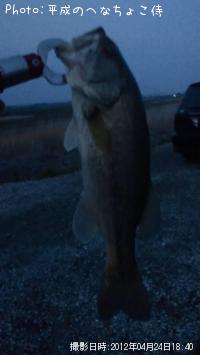 �֥�å��Х�