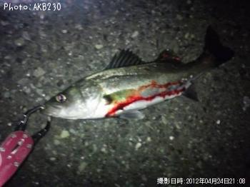 �����Х�