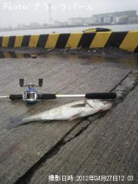 �����Х�