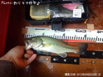 ¥Ö¥é¥Ã¥¯¥Ð¥¹