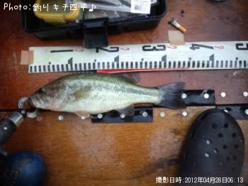 ¥Ö¥é¥Ã¥¯¥Ð¥¹