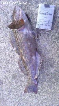 �����ʥ�