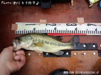 ¥Ö¥é¥Ã¥¯¥Ð¥¹