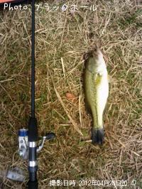 ¥Ö¥é¥Ã¥¯¥Ð¥¹