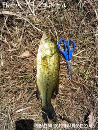 �֥�å��Х�