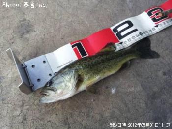 �֥�å��Х�