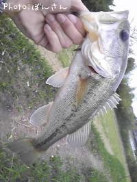 ¥Ö¥é¥Ã¥¯¥Ð¥¹