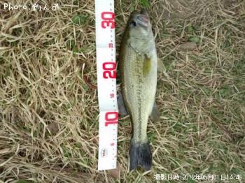 �顼���ޥ����Х�