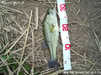 ¥é¡¼¥¸¥Þ¥¦¥¹¥Ð¥¹