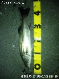 �����Х�