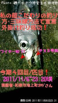 ¥¿¥Á¥¦¥ª¡¿Àë¸À³°³Ý¤±Äà²Ì