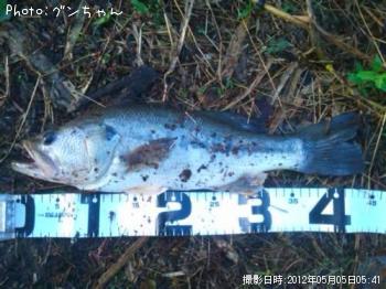 ¥Ö¥é¥Ã¥¯¥Ð¥¹