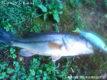 ¥Ö¥é¥Ã¥¯¥Ð¥¹