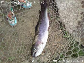 �쥤��ܡ��ȥ饦��