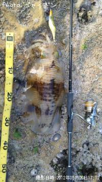 �����ꥤ��