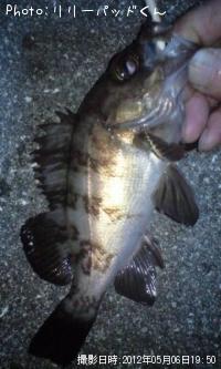 ��Х�����