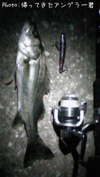 �����Х�