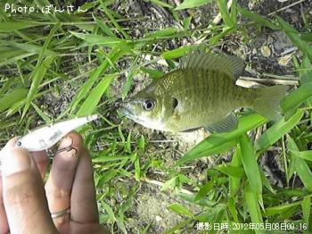 ¥Ö¥ë¡¼¥®¥ë