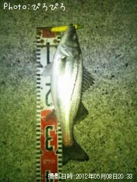 �����Х�