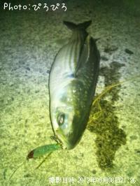 �����Х�