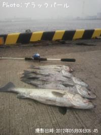 �����Х�