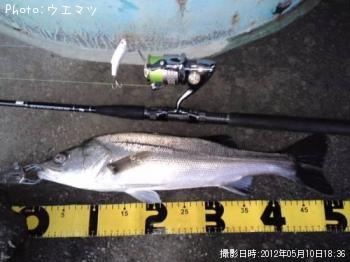 �����Х�