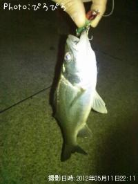 �����Х�