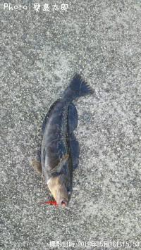 �����ʥ�