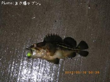 ���ޥ���