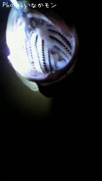 �����Х�