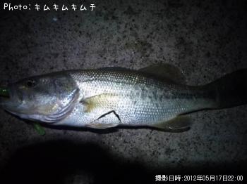 �֥�å��Х�