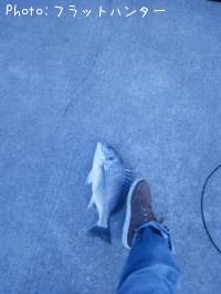 ¥Þ¥´¥Á¡¡¡¡¡¡¥Á¥Ì