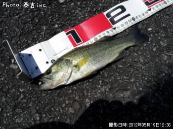 �֥�å��Х�