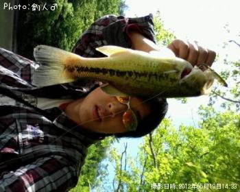 ラージマウスバス